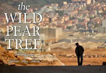 نقد و بررسی فیلم The Wild Pear Tree