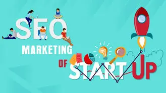آنچه استارت آپ ها باید در مورد سئو و نام دامنه بدانند