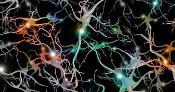 استفاده از هوش مصنوعی در عصب شناسی برای کنترل مغز میمون ها!