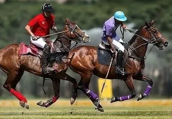 سرعت، دقت و چابکی الوپیک، این بار در چوگان