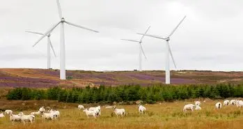 اسکاتلند موفق به تامین انرژی تمام منازل از طریق توربین بادی شد