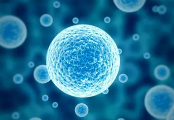 تولید میکروسکوپ سه بعدی که سلول ها را بدون تخریب نشان می دهد