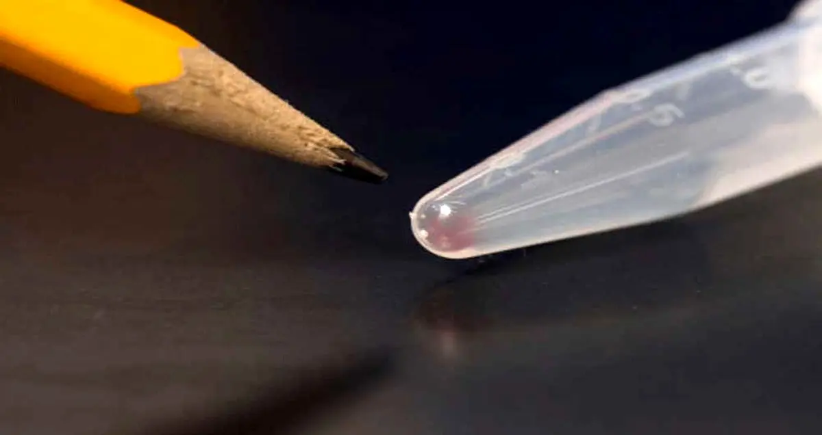 ذخیره ساز تصاویر دیجیتالی در DNA و بازیابی کامل آن ها