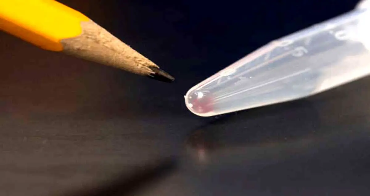 ذخیره ساز تصاویر دیجیتالی در DNA و بازیابی کامل آن ها
