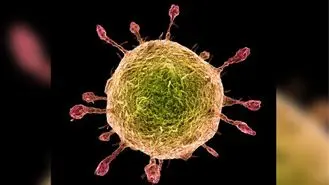 جدیدترین آمار کرونا در ایران؛ مبتلایان ۲ هزار و ۳۳۶ و جان‌باختگان ۷۷ نفر