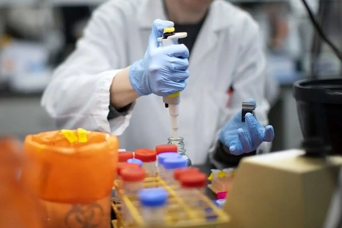 کیت های تشخیص سریع کرونا تولید داخل فروردین ماه روانه بازار می شوند