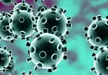 شمار قربانیان کرونا در ایران به 8 نفر رسید؛ تهران قرنطینه می شود؟