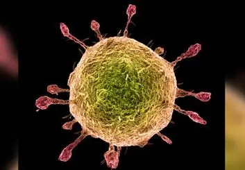  مقایسه ویروس کرونا با آنفولانزا و روش تشخیص آن