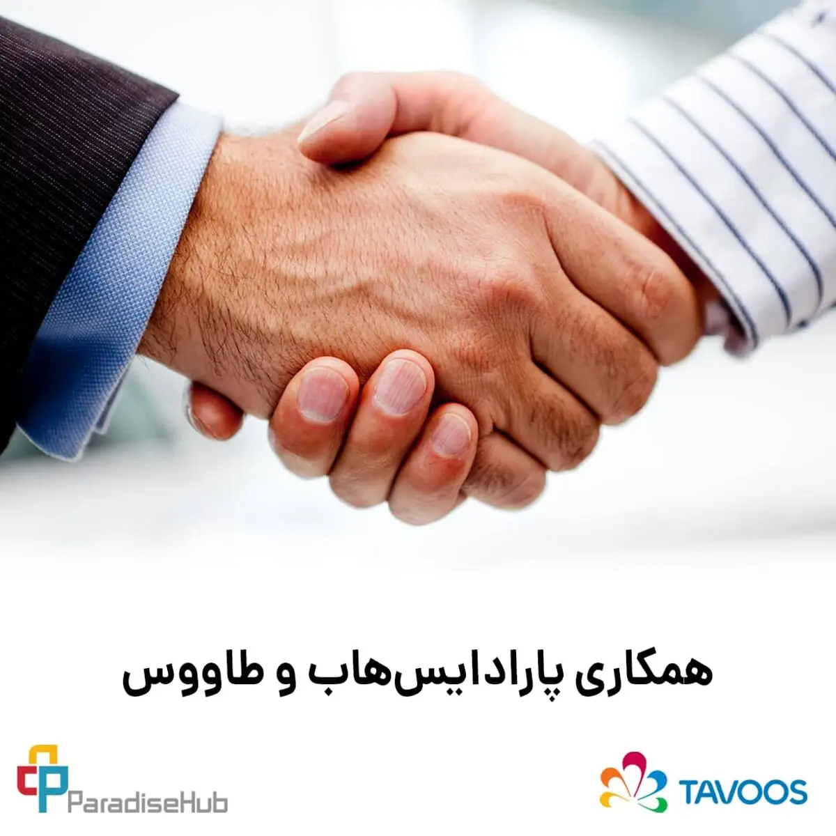 همکاری پارادایس‌هاب و طاووس