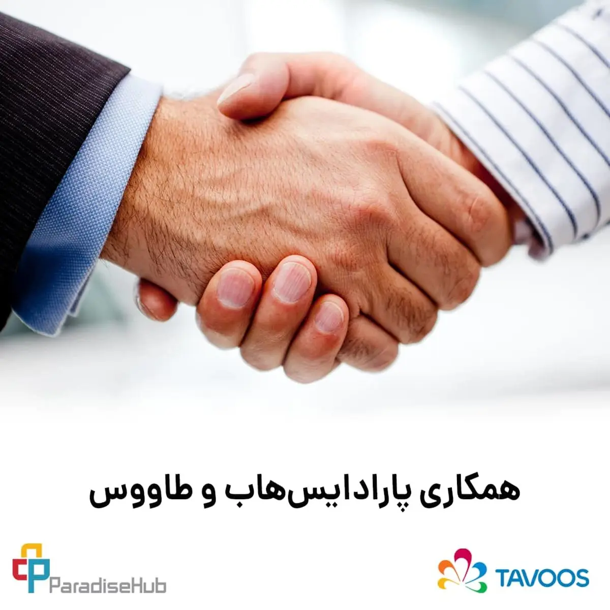 همکاری پارادایس‌هاب و طاووس