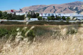 کارمندان تسلا در صورت در خانه ماندن، مزایای بیکاری نخواهند گرفت