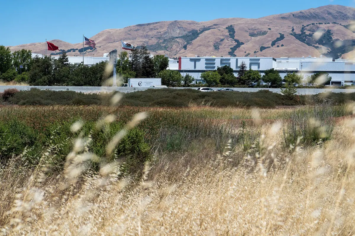 کارمندان تسلا در صورت در خانه ماندن، مزایای بیکاری نخواهند گرفت