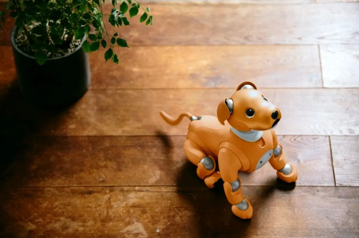 ربات سونی جلوی درب منزل به شما خوشامد می‌گوید