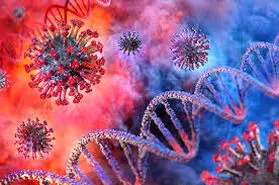 مطالعه جهش و سرعت تغییرات ویروس کرونا از طریق بررسی بیوانفورماتیک