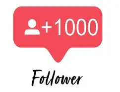 چگونه یک میلیون فالوور داشته باشیم؟