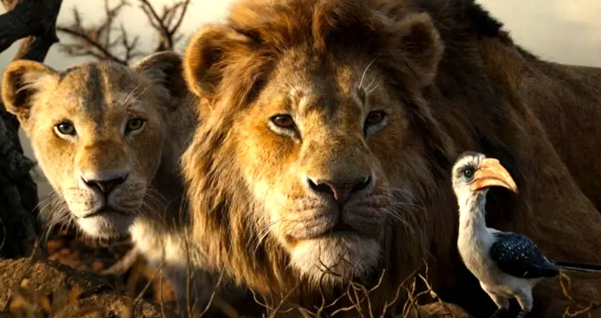 لایو اکشن The Lion King 2 به کارگردانی بری جنکینز ساخته می‌شود