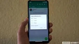 سرانجام قابلیت میوت کردن چت‌ها و گروه‌ها برای همیشه، به واتساپ اضافه شد
