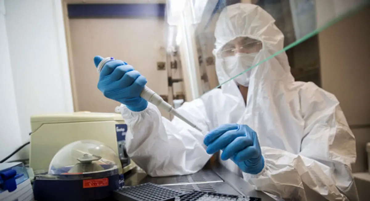 واکسن ایرانی کرونا در چه مرحله‌ای است؟