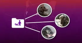 مدیریت کاربران در لینوکس اوبونتو چگونه است؟