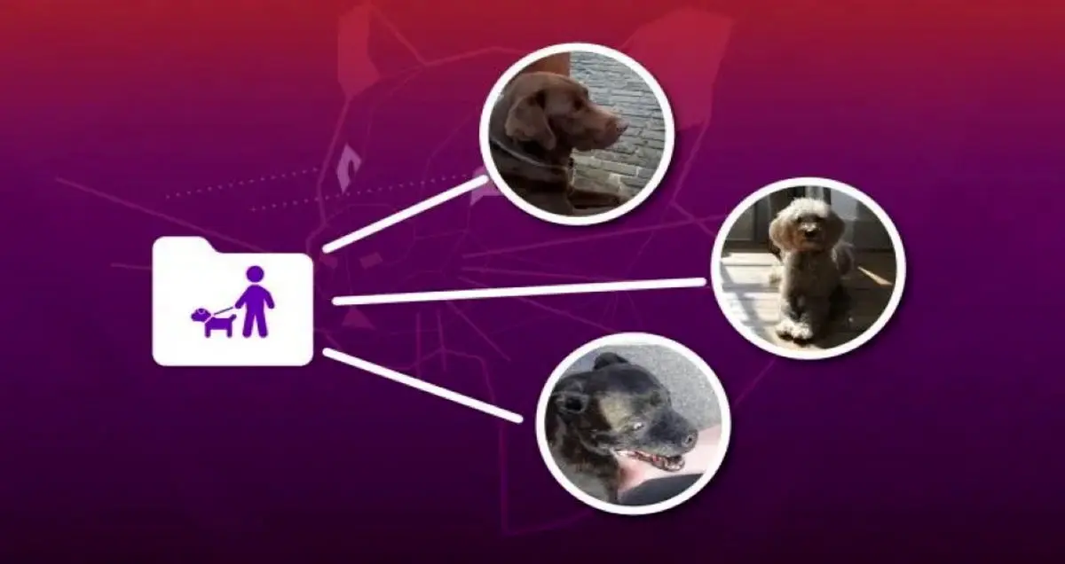 مدیریت کاربران در لینوکس اوبونتو چگونه است؟