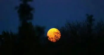 فعال کردن Dark Mode در اپلیکیشن‌های اندرویدی