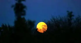 فعال کردن Dark Mode در اپلیکیشن‌های اندرویدی