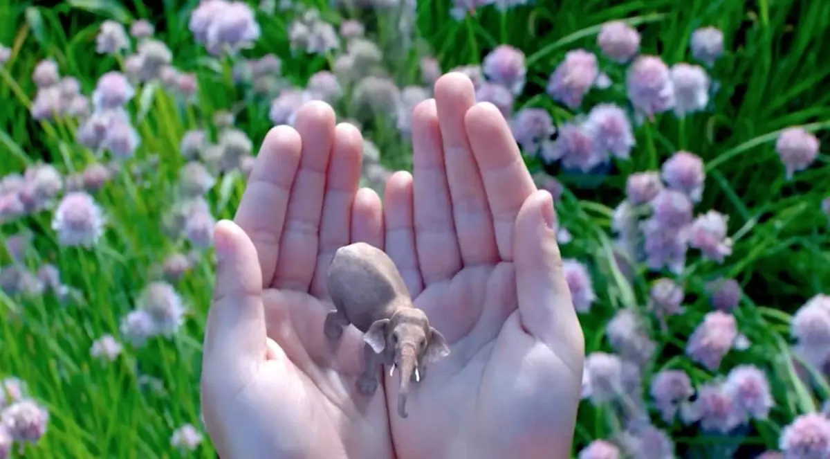 یک فناوری جدید فراتر از واقعیت مجازی در راه است