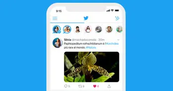 وجود یک باگ در توییتر از محو شدن کامل فلیت ها جلوگیری می کند