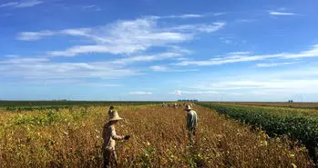 تجهیزات 5G هواوی به کمک کشاورزان برزیلی می رود