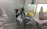 واکسن‌های ایرانی کرونا تا بهمن ماه وارد فاز آزمایش‌های بالینی می‌شوند