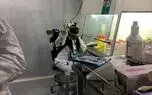 واکسن‌های ایرانی کرونا تا بهمن ماه وارد فاز آزمایش‌های بالینی می‌شوند