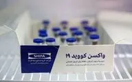 موفقیت گروه دیگری از دانشمندان کشور در دستیابی به واکسن کرونا