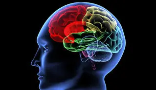 فناوری تصویربرداری از مغز در خدمت آشکار سازی عواطف پنهانی