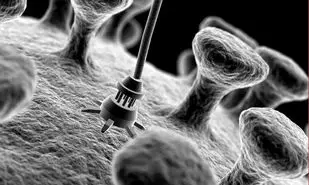 برقراری ارتباط مستقیم با مغز انسان