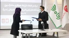 رفاه در تخفیفان است؛ فروشگاه زنجیره‎ای رفاه با تخفیفان قرارداد همکاری امضا کرد