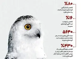 دیوار آگهی‌های ممنوعه حیات وحش را چطور حذف می‌کند؟