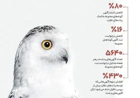 دیوار آگهی‌های ممنوعه حیات وحش را چطور حذف می‌کند؟