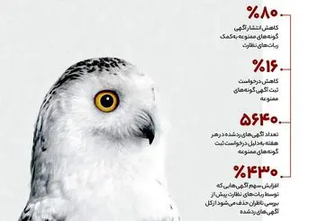 دیوار آگهی‌های ممنوعه حیات وحش را چطور حذف می‌کند؟
