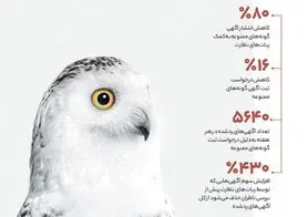 دیوار آگهی‌های ممنوعه حیات وحش را چطور حذف می‌کند؟