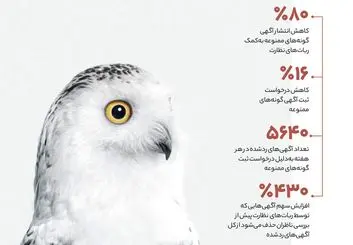 دیوار آگهی‌های ممنوعه حیات وحش را چطور حذف می‌کند؟