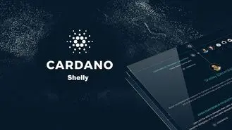 فاز سوم بروزرسانی کاردانو پس از انجام هاردفورک مری راه‌اندازی خواهد شد