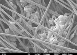 راهی جدید برای درمان تومور بدخیم مغز