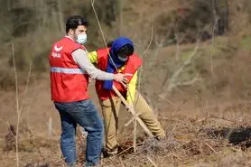 مشارکت دیجی‌کالا در کمک به حفظ گونه‌های بومی