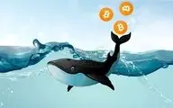 نهنگ‌های بیتکوین در اوج قیمت بیش از ۱۴۰ هزار بیتکوین فروخته‌اند