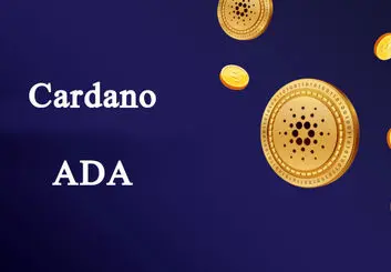 تعداد حساب‌های فعال کاردانو از ۵۰۰ هزار عبور کرد