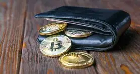 معرفی انواع کیف پول های ارزهای دیجیتال