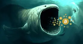 نهنگ های بیت کوین در آخرین ریزش بازار 122.5 هزار بیت کوین خریداری کردند