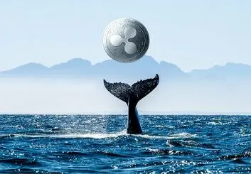 نهنگ ریپل 139 میلیون سکه جابجا کرد؛ رشد 6 درصدی XRP در 24 ساعت گذشته