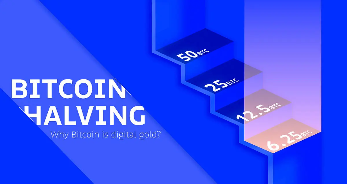 هاوینگ بیت کوین (Bitcoin Halving) چیست و چگونه کار می‌کند؟