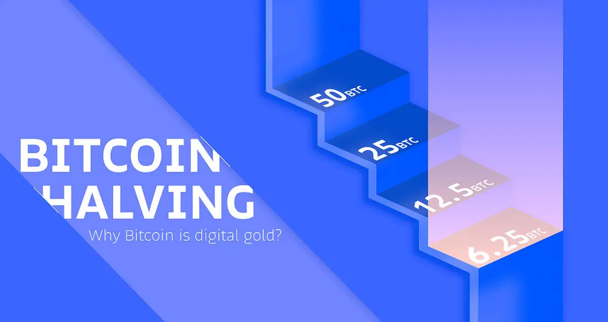 هاوینگ بیت کوین (Bitcoin Halving) چیست و چگونه کار می‌کند؟